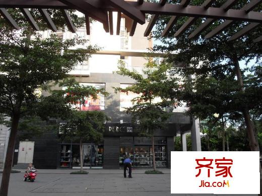 珠光花半里外景图1249023955509_000