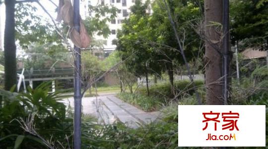 世外桃源外景图