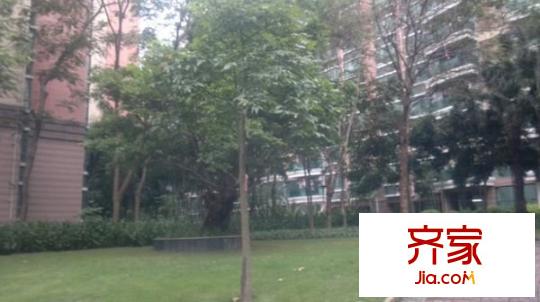 世外桃源外景图