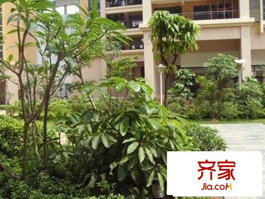 棕榈堡外景图小区相关图