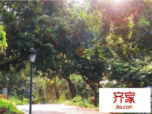 万科公园里实景图公园(2014-09-12)