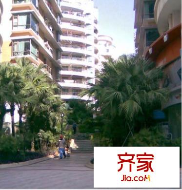 招商海月花园二期外景图深圳