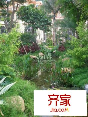 龙园意境外景图 实景图