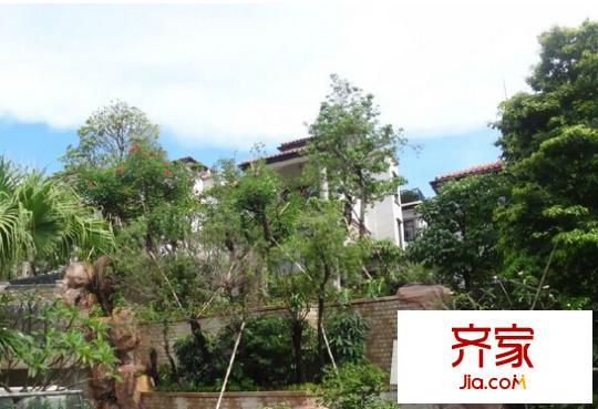 大南山紫园外景图