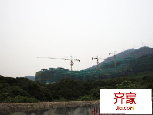 大南山紫园外景图2011-11-17