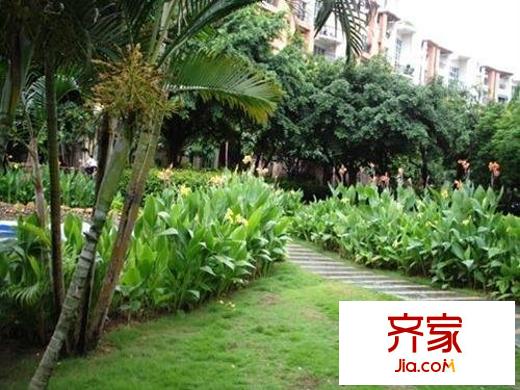 阳光棕榈园三期外景图阳光棕榈园园景