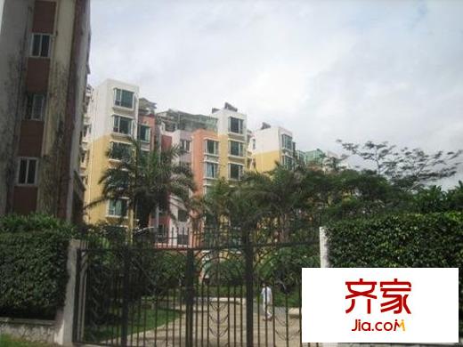 阳光棕榈园三期外景图阳光棕榈园外景