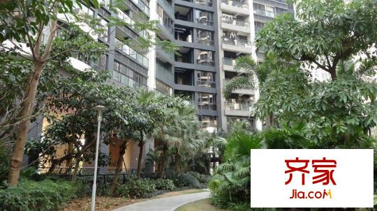 君悦龙庭外景图