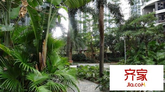 君悦龙庭外景图