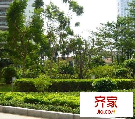 漾日湾畔外景图