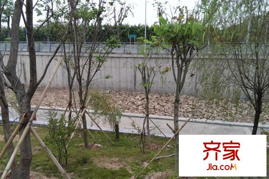 深圳湾1号周边(2015-3-1)