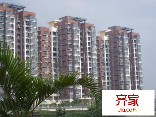 劲嘉龙园印象外景图 7