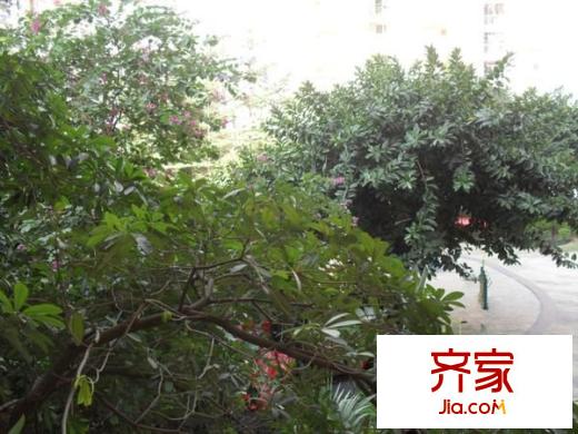桂芳园五期外景图
