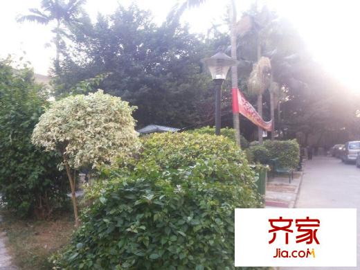 茂业城外景图