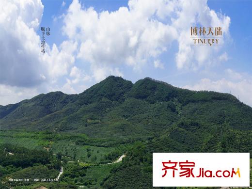 博林天瑞对面塘朗山