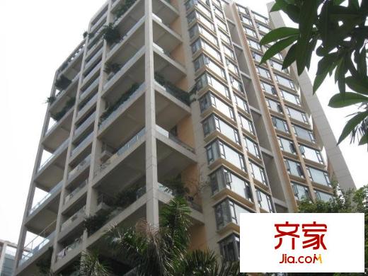 碧海云天二期外景图红树东方