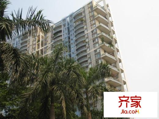 碧海云天二期外景图红树东方