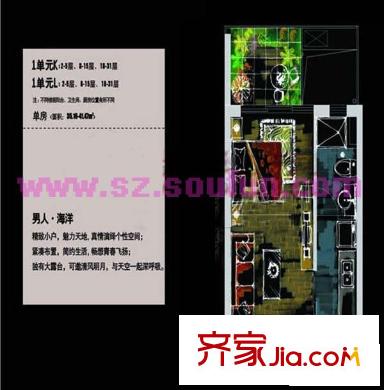 第五公社(星海名城五期) 户型图