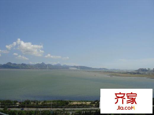 红树西岸外景图