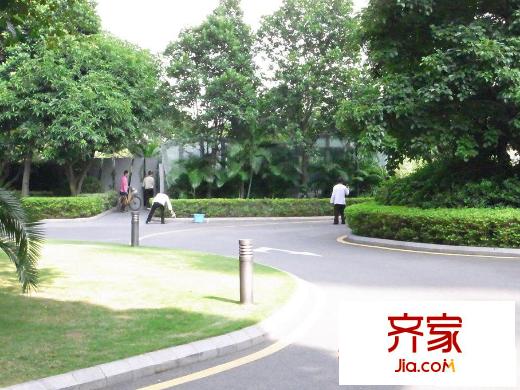 红树西岸外景图