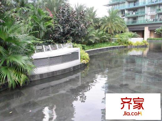 红树西岸外景图