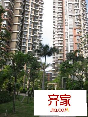 阳光玫瑰园外景图