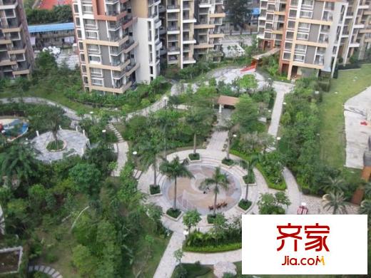 阳光玫瑰园外景图