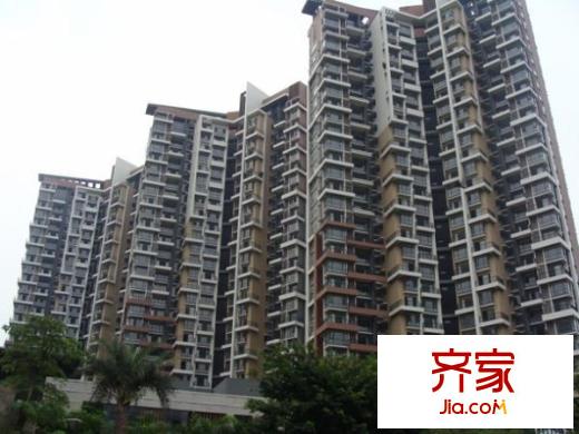 阳光玫瑰园外景图