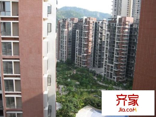 阳光玫瑰园外景图