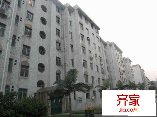 松坪村小区外景图