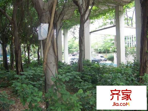 科苑学里外景图