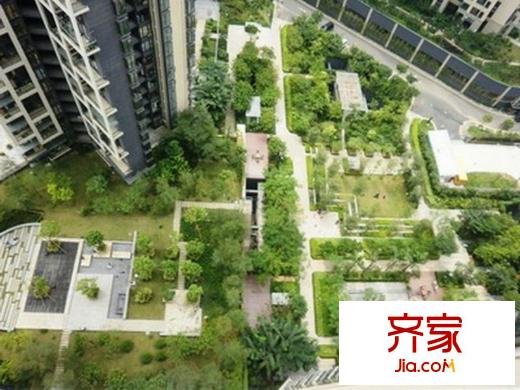 中海康城国际外景图