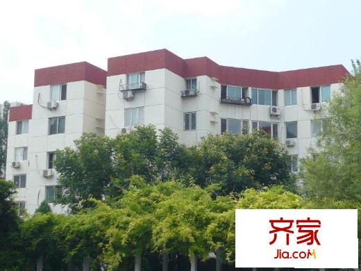 望京西园二区外景图绿化