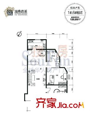 顶秀青溪户型图1#6#E户型 2室2厅1卫1厨