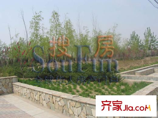 顶秀青溪配套图西侧绿化带