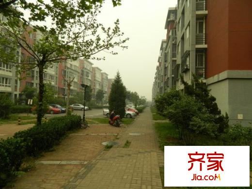 龙锦苑东一区外景图