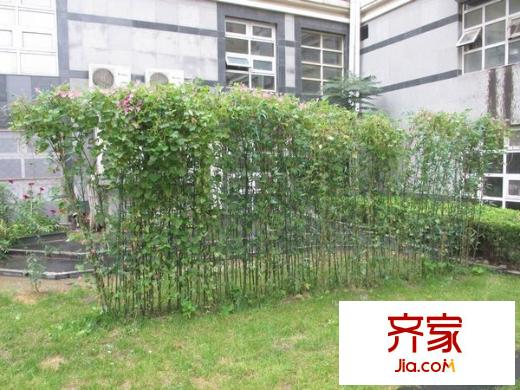 亮马水晶外景图