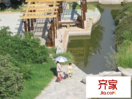 枫竹苑外景图