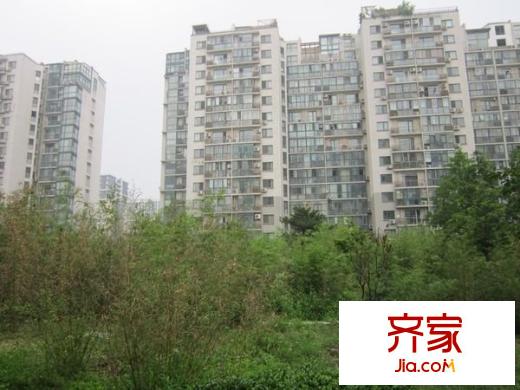 枫竹苑外景图