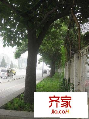 青年公寓外景图绿化