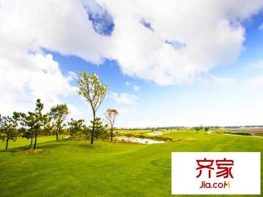中置少海灣高爾夫球場(chǎng)（20131119）