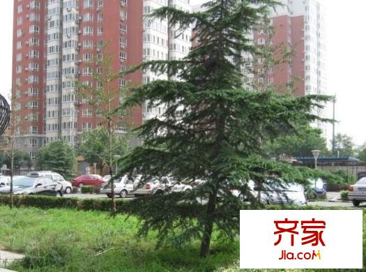 和风四季外景图