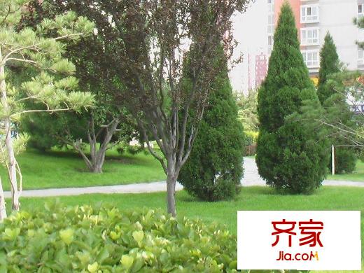 玺萌苑外景图小区绿化