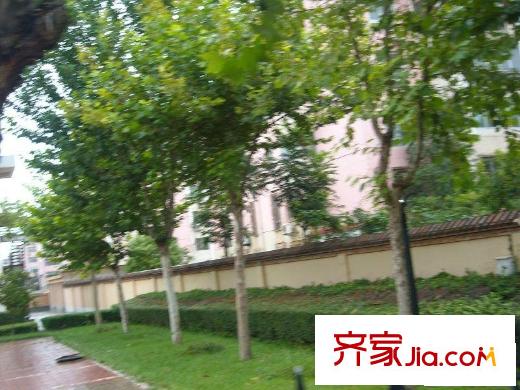 龙兴园中区配套图小区周边
