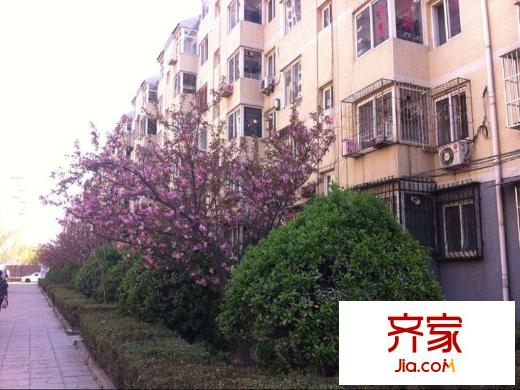 华龙小区外景图