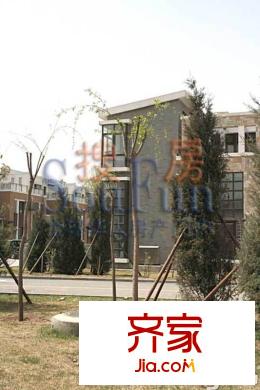 靠山居艺墅外景图