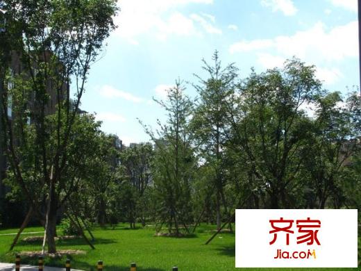 大成郡外景图