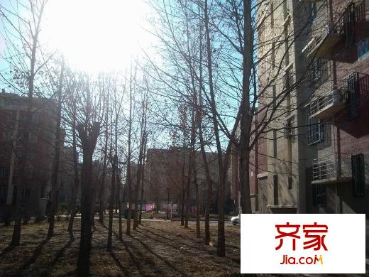 龙跃苑一区外景图