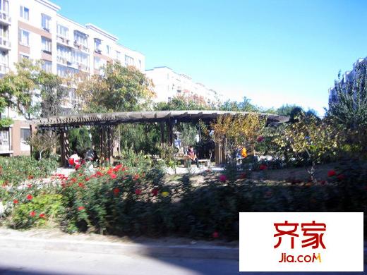 龙锦苑东三区外景图
