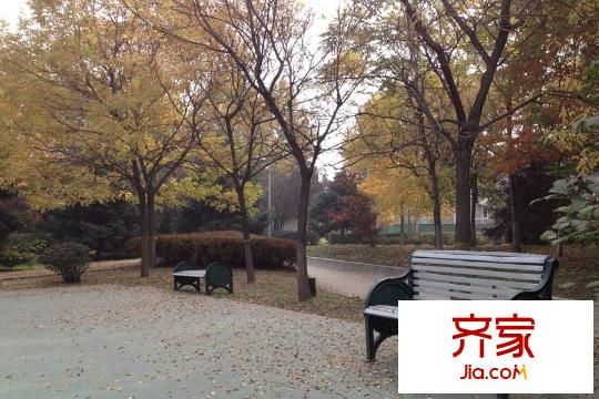 温哥华森林小区公园2015.4